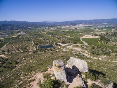 La Roca del Cap del Pla Vinebre