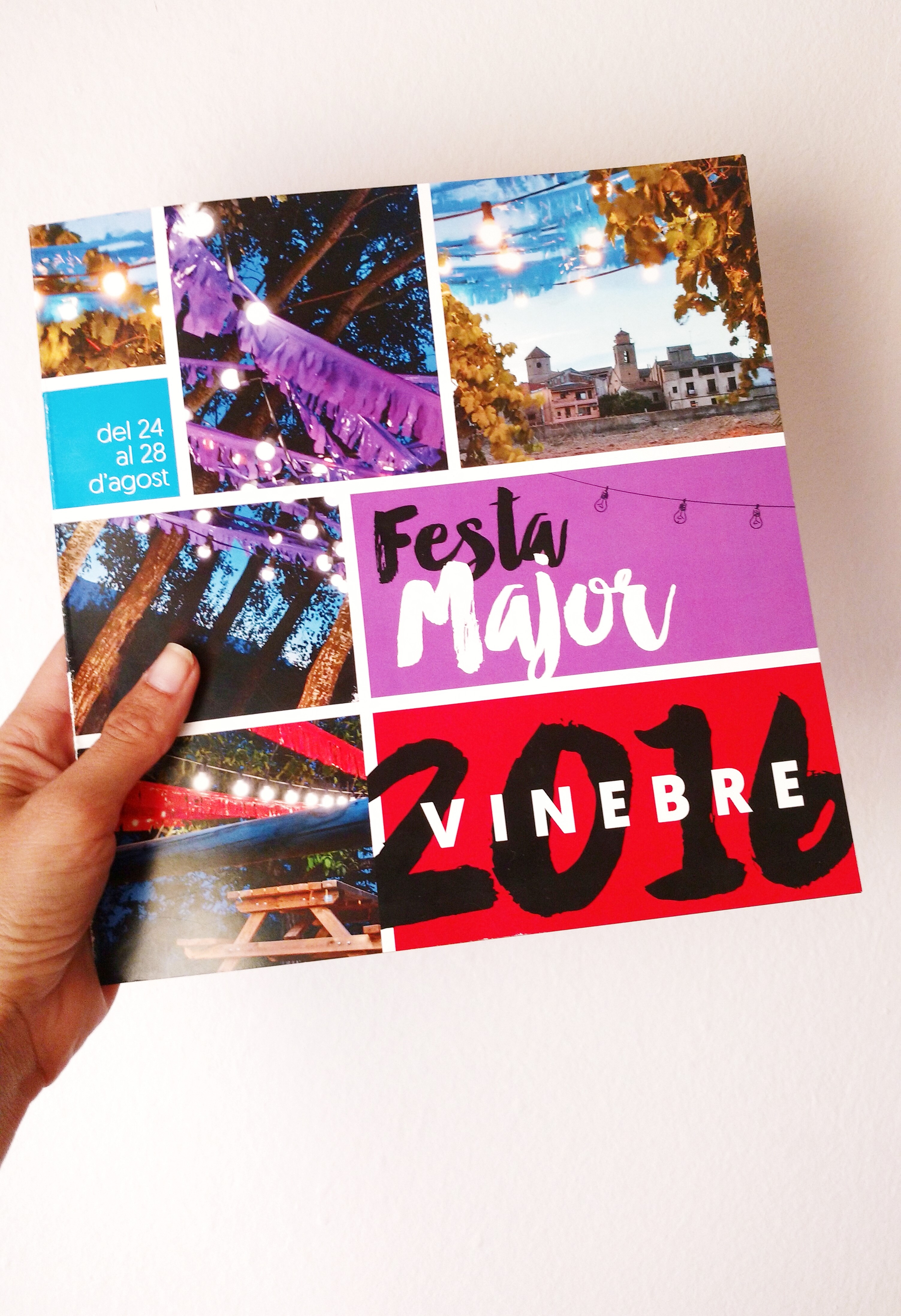 Festa Major de Vinebre 2016