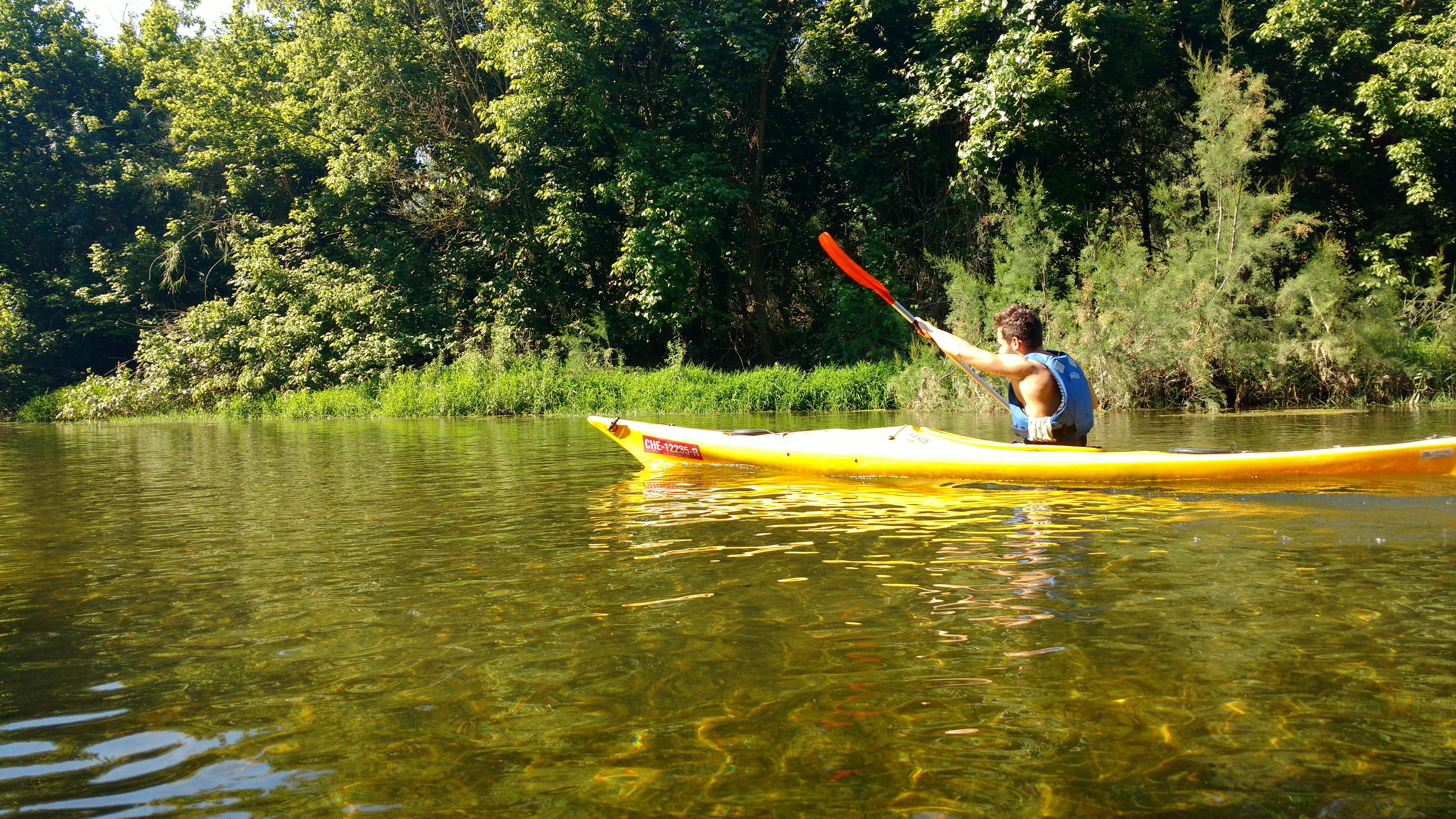 kayak per Vinebre